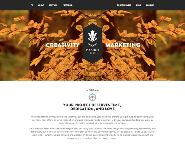 Screenshot der Website Design Shopp